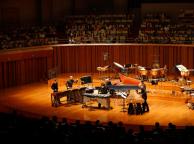 Percussionist